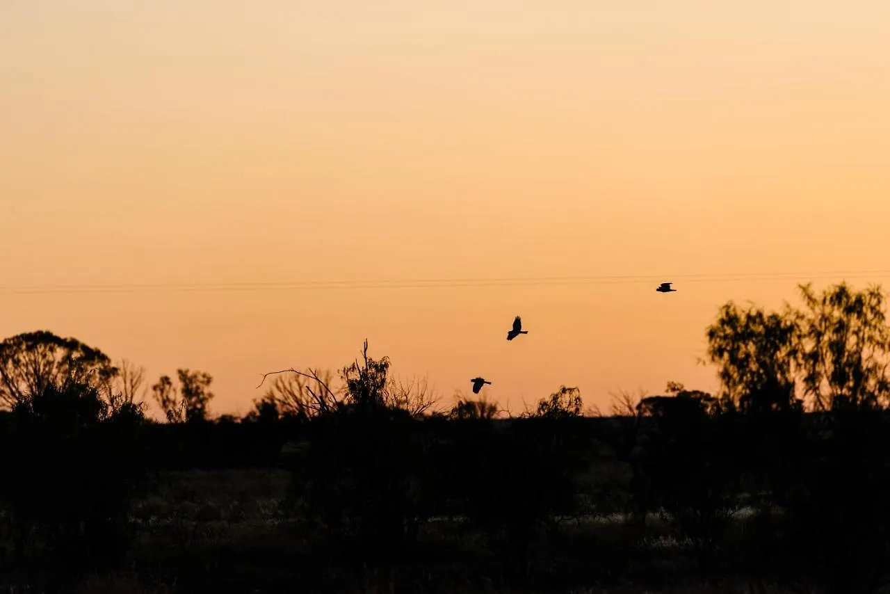 Mitchell Grass Retreat Hotel Longreach 0*,  Australia