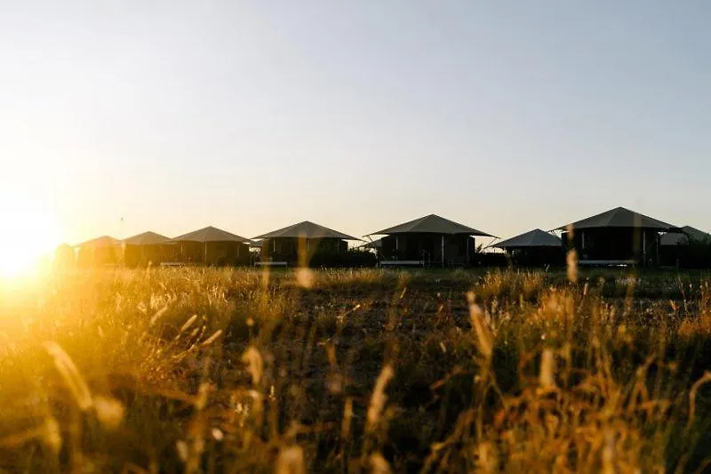 Luxury tent Mitchell Grass Retreat Hotel Longreach